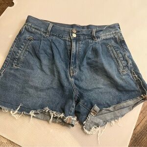 American Eagle Outfitters Blue Jean Shorts
